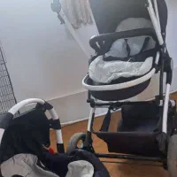 کالسکه کلیر روما دلیجان|کالسکه و لوازم جانبی|قم, سراجه (۱۵ خرداد)|دیوار