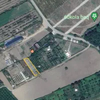 باغ میوه|فروش زمین و ملک کلنگی|گرگان, |دیوار