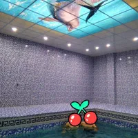 اجاره باغ ویلا استخر سرپوشیده کنار ساحل لوکس شیک|اجارهٔ کوتاه‌مدت ویلا و باغ|بندر گناوه, |دیوار