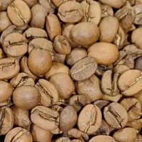 پخش دان قهوه کلاسیک(عمده) (جزئی)