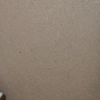 نوپان