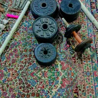 دمبل باشگاه