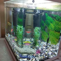 اکواریوم سه بعدی