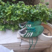 کفش آدیداس سالنی