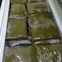 سبزی خورشتی جنوب ایران
