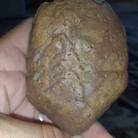 همه نوع شهابسنگ.|جواهرات|زنجانرود, |دیوار