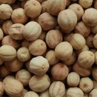 لیمو خشک خارجی درجه یک