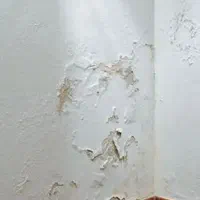 لکه گیری گچکاری
