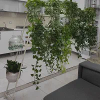 ساخت تخت خواب ،استند گل|تخت و سرویس خواب|مرودشت, ژیان|دیوار