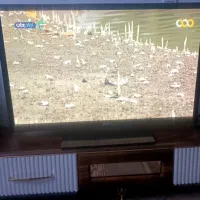 ال ای دی پلاس 43 اینچ سامسونگ