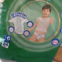 ۸ عدد مولفیکس سایز۶