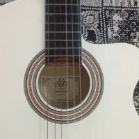 گیتار کلاسیک و شیک|گیتار، بیس، امپلیفایر|میناب, |دیوار