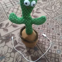 کاکتوس اسباب بازی