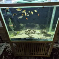 فروش آکواریوم