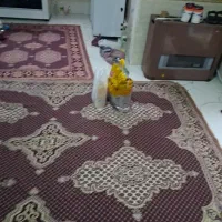 سوییت