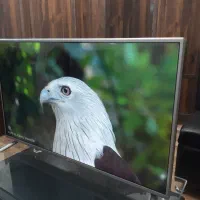 ال ای دی۴۳اینچ هوشمند ال جی اصلی تمیز،کمکار درحدنو