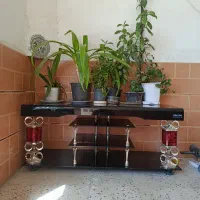 زیر تلویزیونی