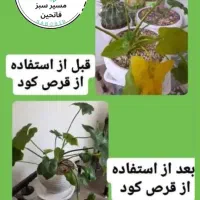 قرص کود۱۲۰عددی ارگانیک رشد تقویت گل وگیاه