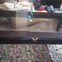 حراج میزعسلی ازچوب راش کاپشن دگمه برای کاپشن جین|حراج|کرج, گلشهر|دیوار