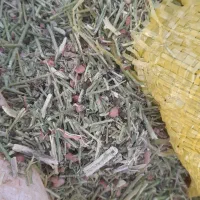 جایگزین یونجه (خارشتر)|لوازم جانبی حیوانات|یزد, |دیوار