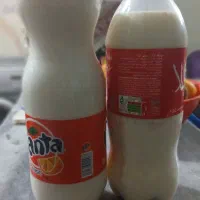 دوغ محلی درجه یک