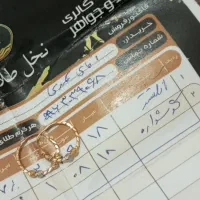 طلا|جواهرات|برازجان, |دیوار
