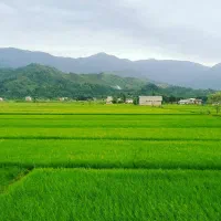 ۱۴/۵۰۰ متر بر جاده سلماس قابل معاوضه