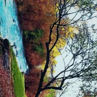 تابلو فرش و تابلو ایت الکرسی|تابلو فرش|رشت, یخسازی|دیوار