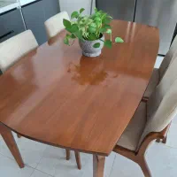 میز ناهار خوری ۶نفره چوب راش|میز و صندلی غذاخوری|شیراز, درکی|دیوار