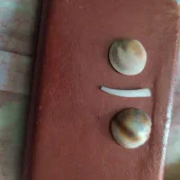 مهره اصل