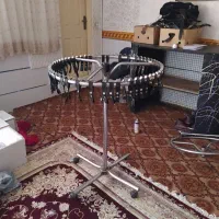 رگال چرخشی و رگال دیواری