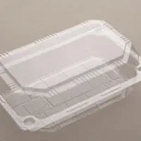 ظروف یکبار مصرف