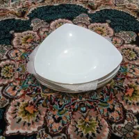 سرویس چینی|ظروف سرو و پذیرایی|رشت, حومه رشت|دیوار
