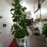 آپارتمان ۷۰ متری تک خواب بلواررحیمی|فروش آپارتمان|پاکدشت, پاکدشت (مامازند)|دیوار