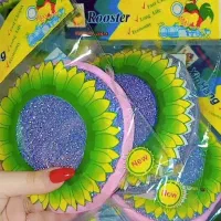 آفتاب گردون