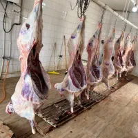 سوپر گوشت صالحی