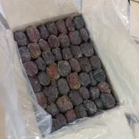 خرمای مرداب سنگ ( ۲ کیلویی) خرمای شیرین محلی