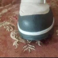 نیم پوت تیمبرلند نو اصل|کیف، کفش، کمربند|تهران, جماران (نیاوران)|دیوار