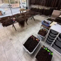 فروش مو خ  با بهترین قیمت ممکن در کل کشور