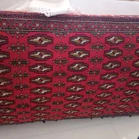 یک جفت پشتی بزرگ