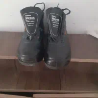 کفش ایمنی ارت دار