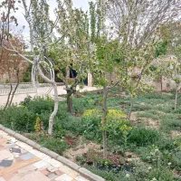 باغویلا-سهیلیه