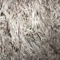 فروش و خریدپوشال کاغذ و کاغذدیواری فروشی
