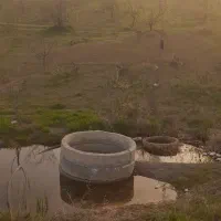 زمین کشاورزی