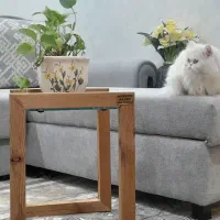 میز جلو مبلی میز عسلی مدرن سازه فقط ۴۹۰۰۰۰۰