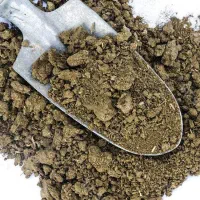 کود گوسفندی