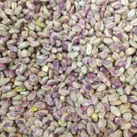 پسته پسته پسته گلدار گوشتی تازه|خوردنی و آشامیدنی|قم, یزدان‌شهر|دیوار