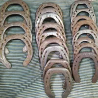 نعل کارکرده و پاخورده