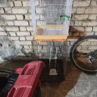 ماشین شارژی دوچرخه۱۲|حراج|لنجان, |دیوار