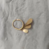 گوشواره گم شده